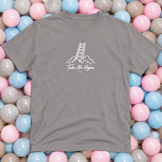 A gray short-sleeve t-shirt with a white graphic of a ladder and the text 'Take Me Higher' laid flat on a bed of pastel pink, blue, and gray plastic balls.